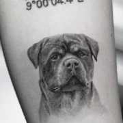 Rottweiler tags tattoo ideas | World Tattoo Gallery