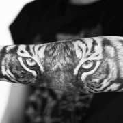 Tiger tags tattoo ideas | World Tattoo Gallery | Page 4