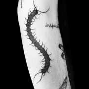 14 New Centipede Tattoos That Can Scare You  Tattoo Twist