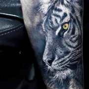 Animal Tattoo Motive | World Tattoo Gallery | Page 47